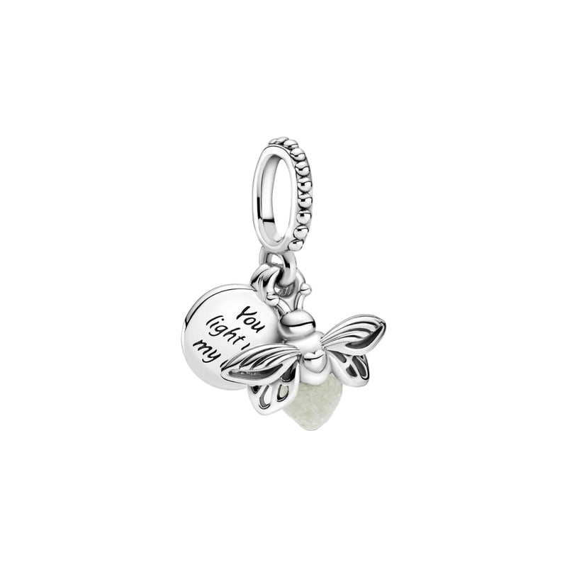 Dragon fly charm